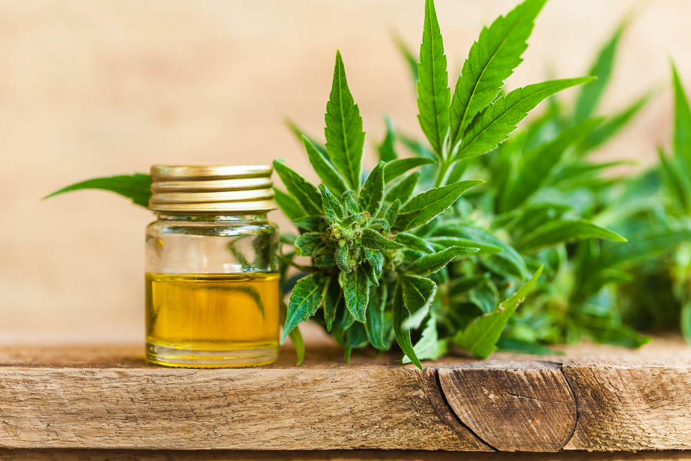 A close up shot of cannabis cbd oil hemp product. What are the cbd oil benefits?