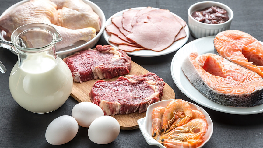 What are the Top Lean Protein Foods That You Should Eat?