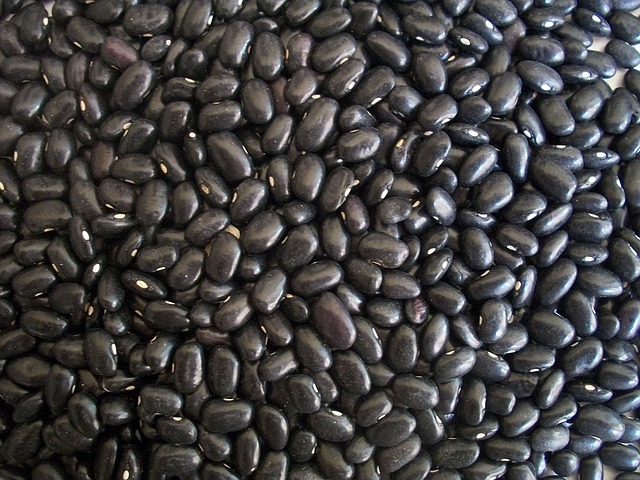 close up of black beans as protein source