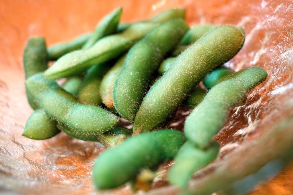 close up of edamame