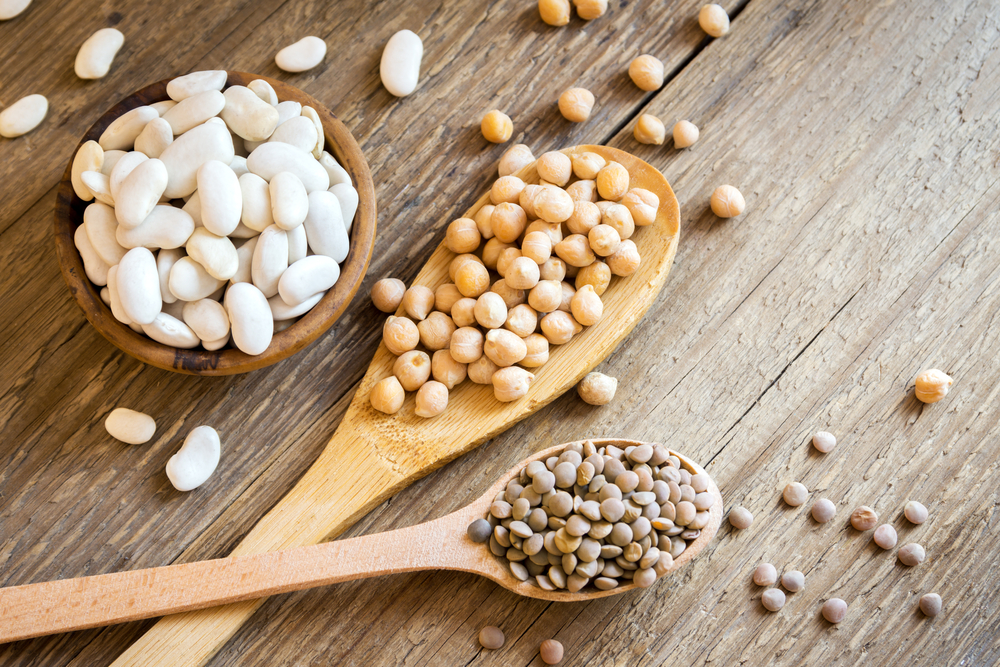 Assortment of Beans, examples of great veggie protein sources