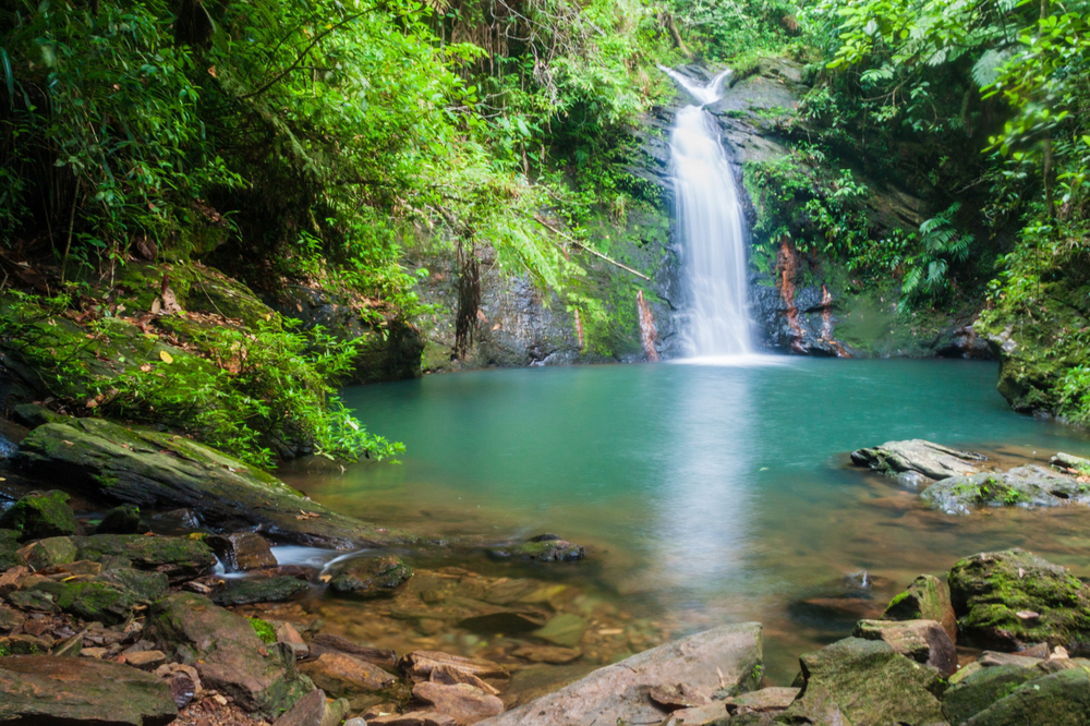Belize Waterfall