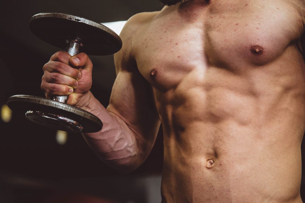 Close up of muscular man holding dumbbell.