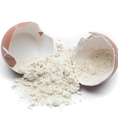 Top Five Egg White Protein Powders