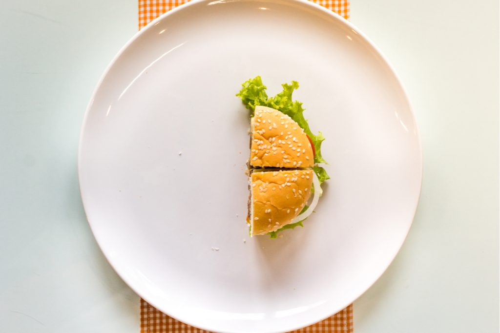 Half a burger on a white ceramic plate.