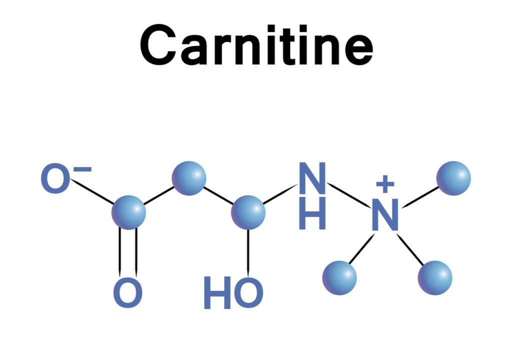What is carnitine?