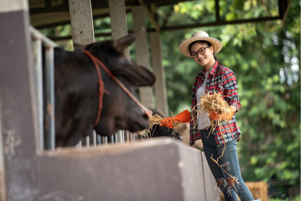 An image of a woman student doing farm work for free food and board while on vacation.