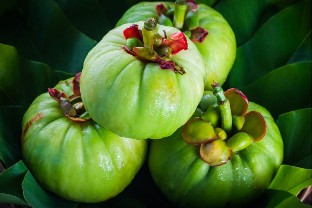 Four pieces of the garcinia cambogia fruit.