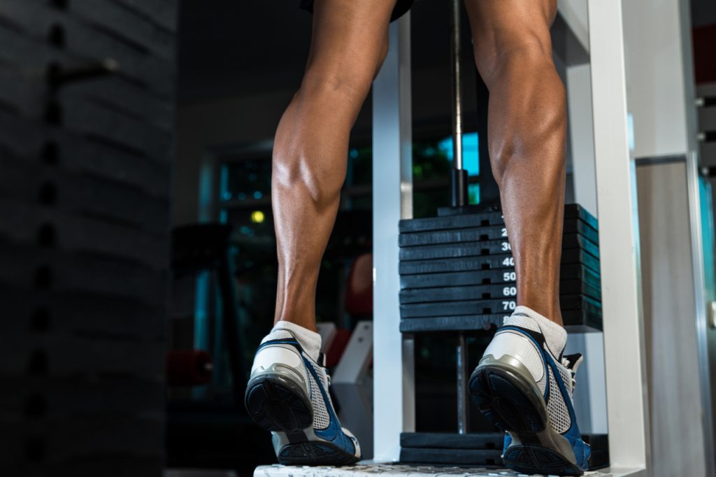 Image of a trained legs calves.