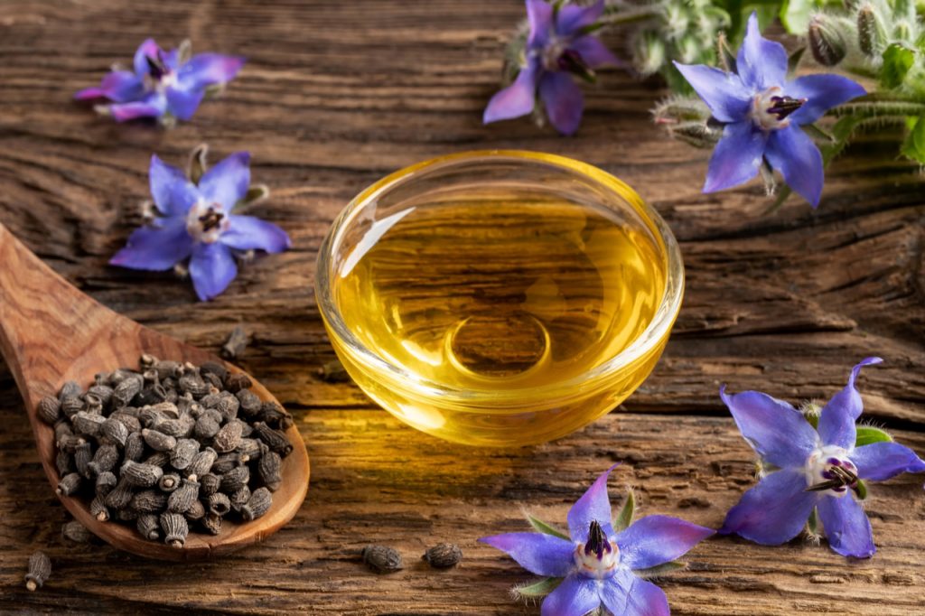A bowl of borage oil, seeds and fresh blooming plant.