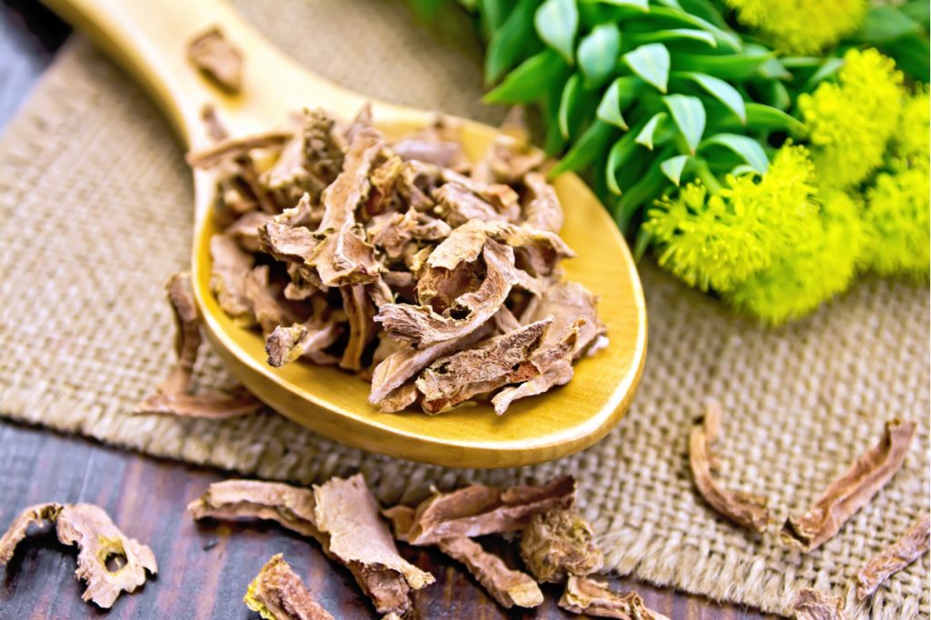 Spoon with dry root of Rhodiola rosea.