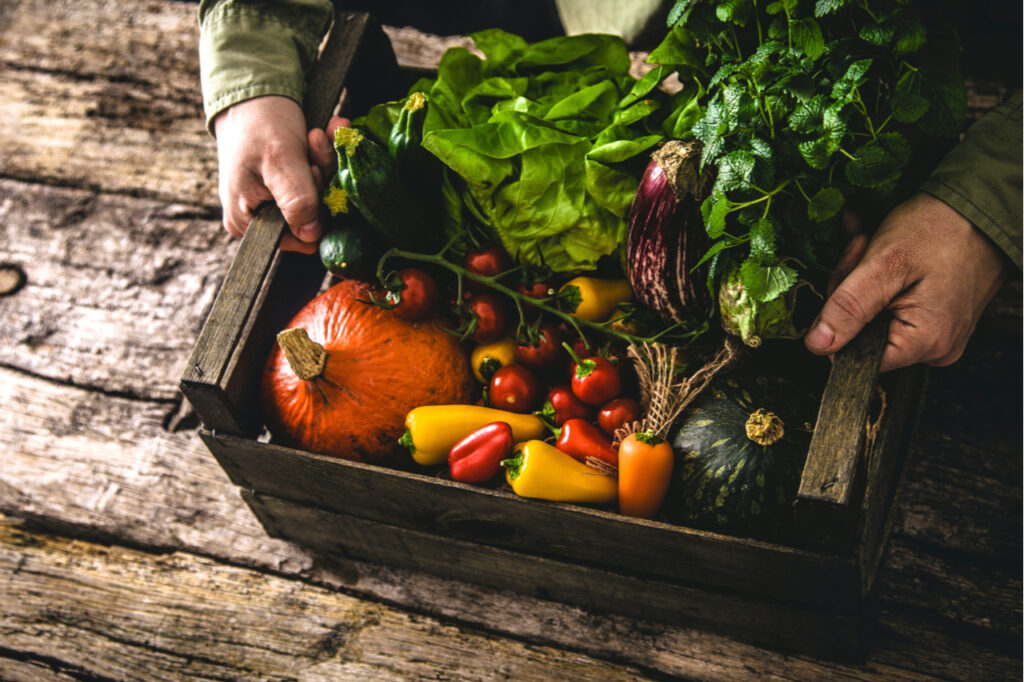 Organic vegetables on wood. Farmer holding harvested vegetables. Rustic setting. Organic vs non organic food, how do they compare?