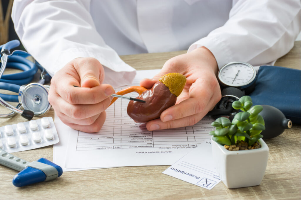 Physician shows to patient shape of kidney with focus on chronic kidney diseases.