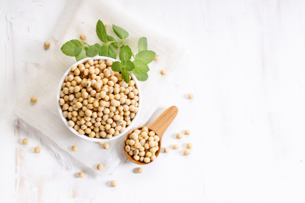 Soy beans in ceramic bowl and soy beans in wooden spoon.