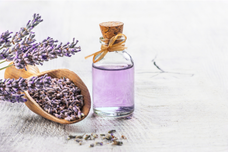 Glass bottle of Lavender essential oil with fresh lavender flowers and dried lavender seeds one of 5 best essential oils for anxiety.
