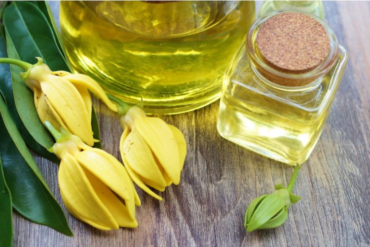 Ylang-ylang flower and essential oil.