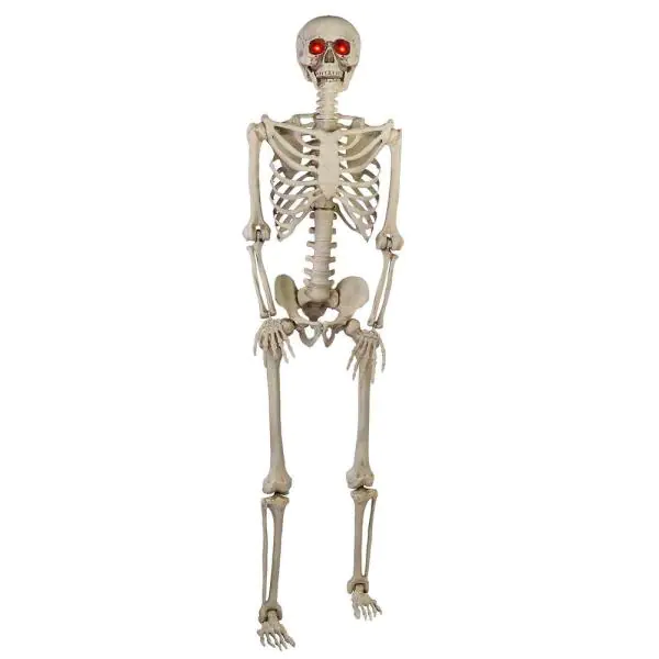 5 ft. Hanging Plastic Posable Skeleton Decoration with LED Eyes