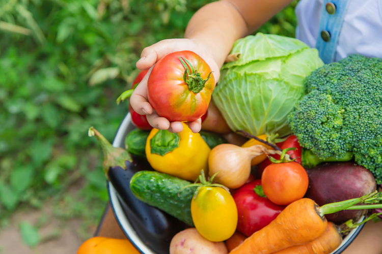 Child in the garden with vegetables