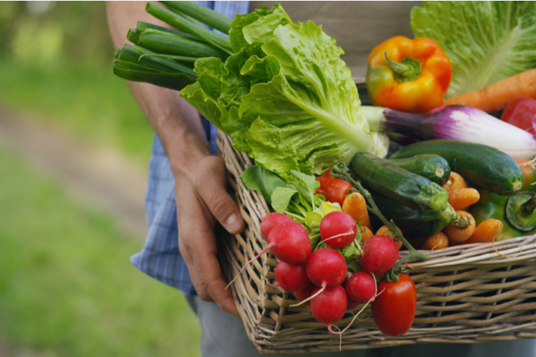 Basket with vegetables