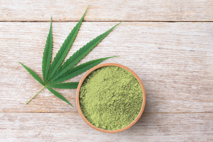 Hemp protein powder in wooden bowl and fresh cannabis leaf