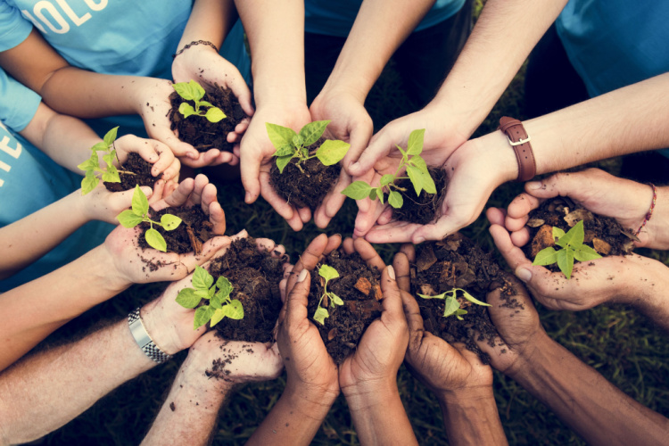 Group of environmental conservation people hands planting in aerial view
